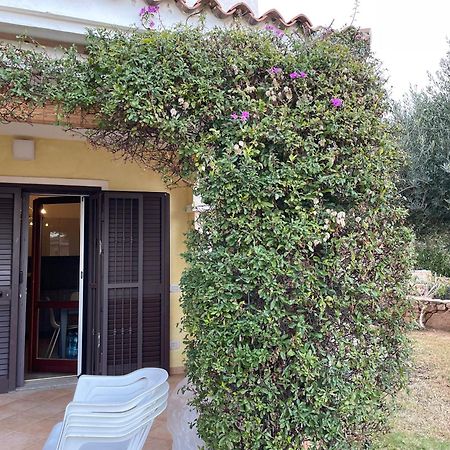 Tavolara Paradise Home Porto San Paolo (Sardinia) Exterior foto